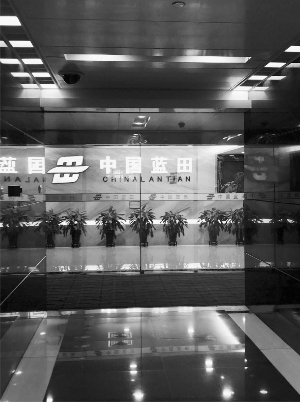 中国蓝田总公司