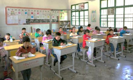 起去蔡甸成功中学、长阳土家族自治县青岗坪小