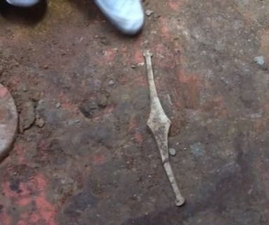 亚博怎么登录 - 每天坚持吃5颗龙眼,您的身体会有哪些变化?和您想的不太一样