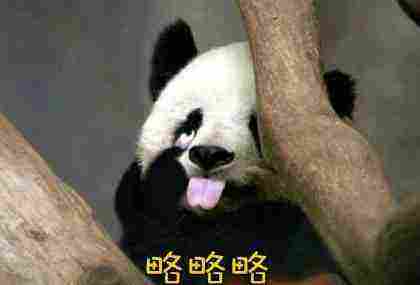 求别下雨了都晒不干内裤了 轻松一刻2月22日晚间版