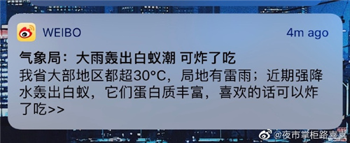神段子丨抓小三需要的是巧劲