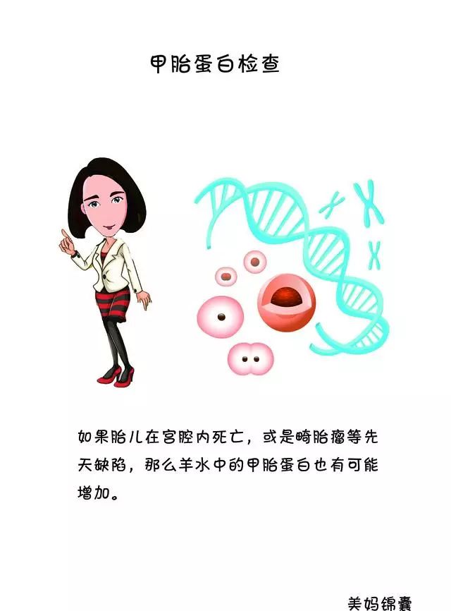 什么是甲胎蛋白检查？
