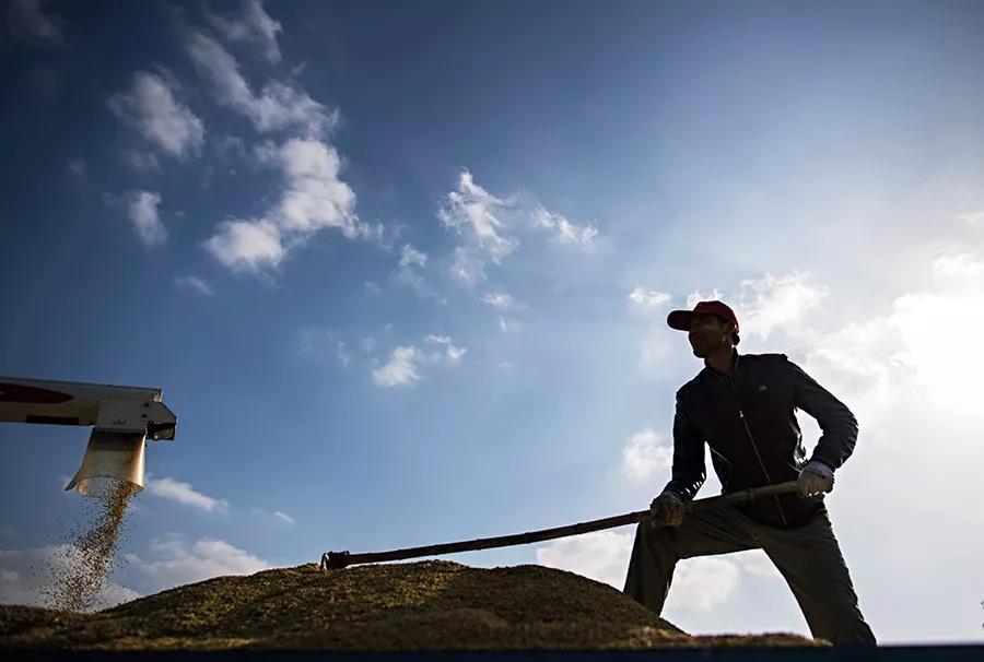 振兴乡村的根本在城市化