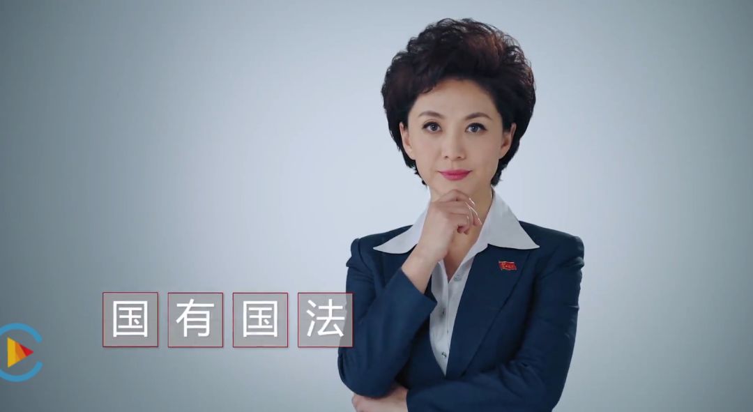 央视女主播海霞再担国家监委新职务