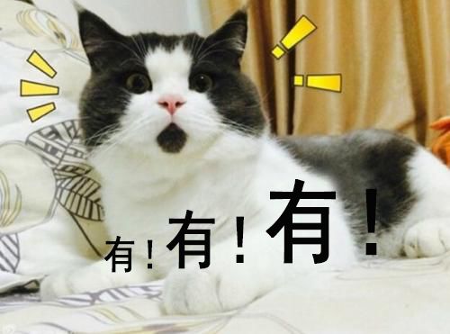 【921|亲!】你有机会拿500元油卡!赶紧看看吧!