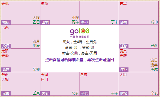 紫微排盘格局详批免费解读各个宫位