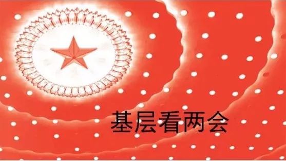 基层看两会丨广西柳州:提升乡村振兴的美丽底