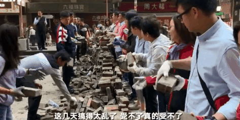 伟德国际企业有限公司招聘-君子兰烂根叶片萎蔫,赶紧这样补救否则来不及了