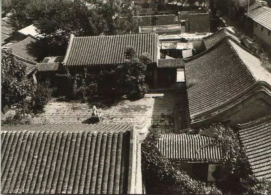 中国居里夫人”王承书:曾轰动世界,因国防需要消失30年 中国居里夫人”王承书:曾轰动世界,因国防需要消失30年