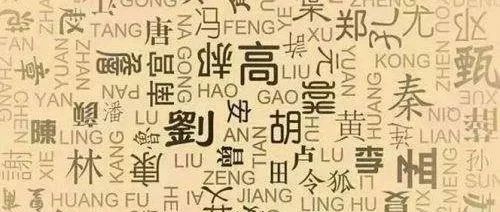 中国汉族人口有多少_中国有多少人口(3)