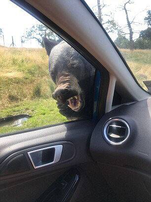 感情案牍少篇语录心灵治愈文章感情小故事民网