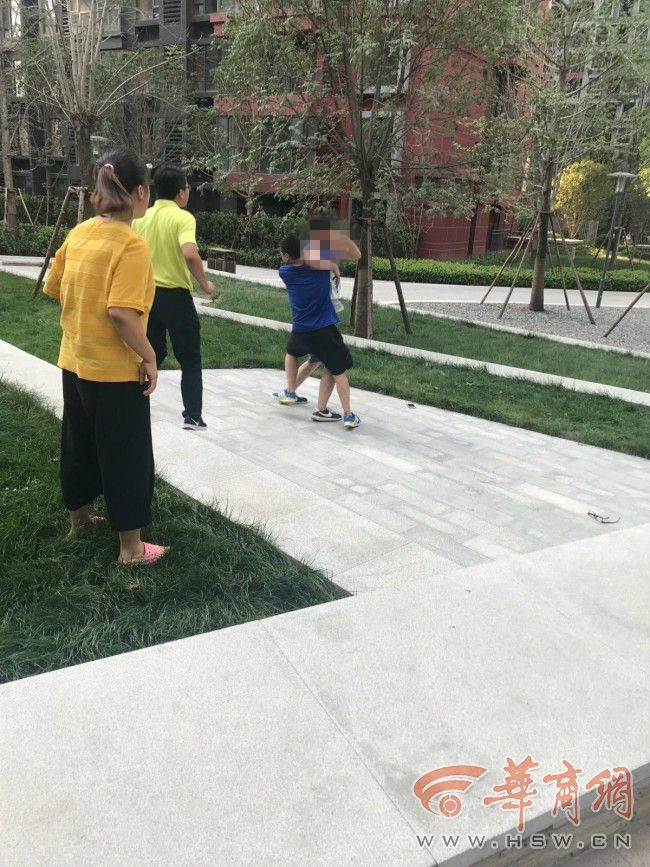 子遛3条狗没牵绳吓吐女童拒道歉:即便咬了打疫