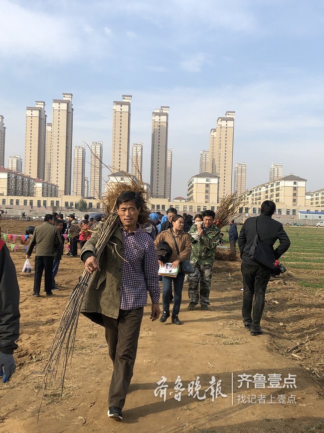 大樱桃2020新品种排名_20余个车厘子新品种等你来品尝!茂县2020首届“车厘