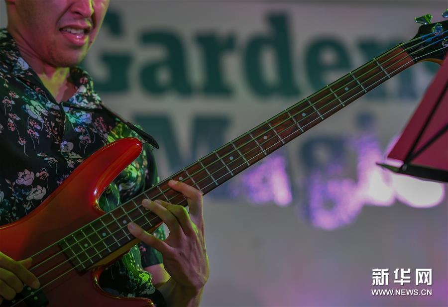 新西兰：惠灵顿花园音乐节