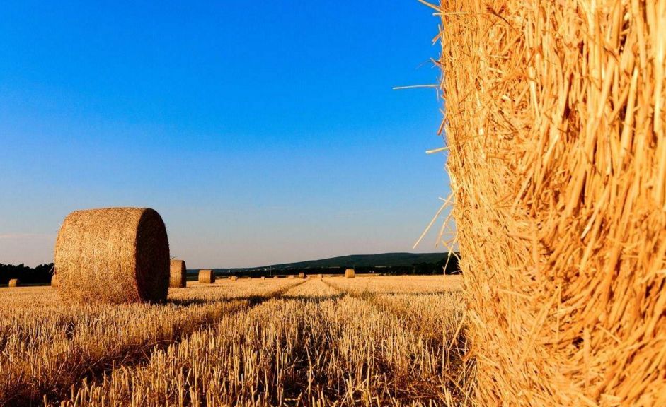 安徽2018全省农业工作会议提到的十大工程讲