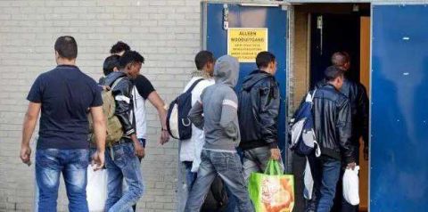 难民潮过了,看现在荷兰人对难民持何种态度