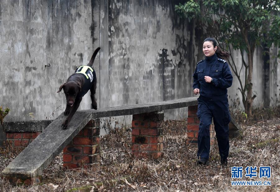 广西闭经了可以做试管武汉代生男宝宝吗