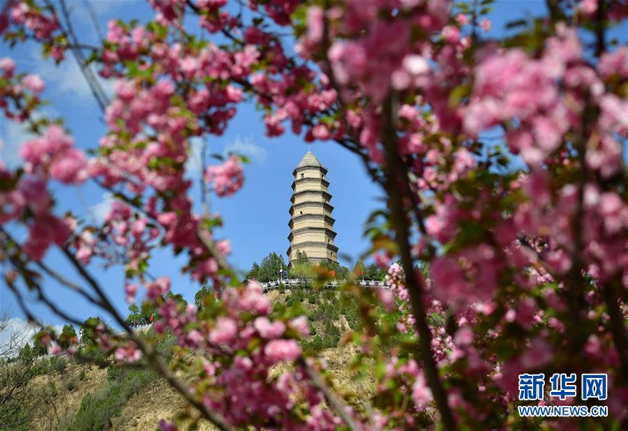 习近平总书记在深度贫困地区脱贫攻坚座谈会上的重要讲话引起强烈反响