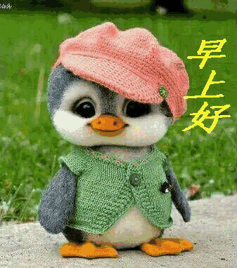 早上好,送你最全的早上好表情图片!太美了!快收.藏