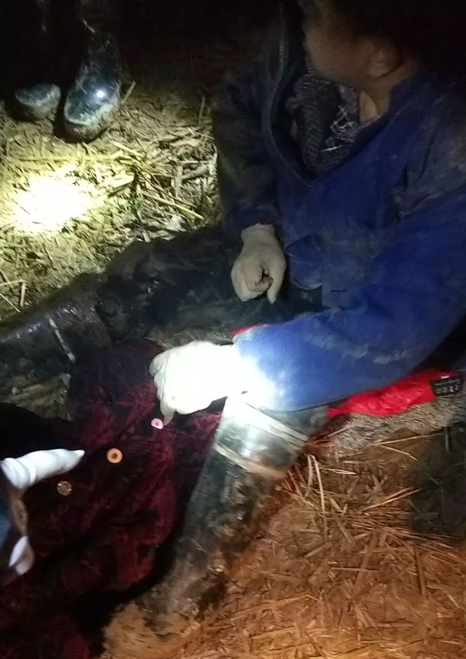 深夜吊车自翻驾驶员被困 多部门联合成功救援