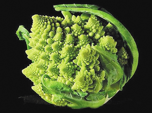 分形几何: 从宝塔菜花说起