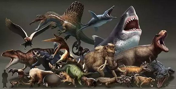 巨齿鲨是来自马里亚纳海沟深处的史前巨兽,是和霸王龙,巨鳄同等凶残的
