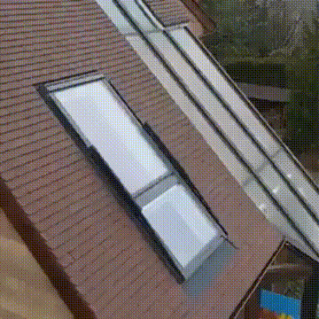 听说你们喜欢做选择题？ 动图 玉米棒还能这么用？