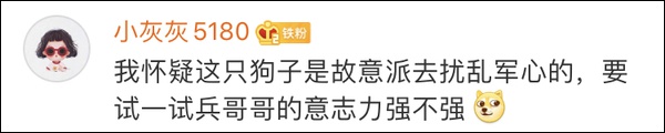时时彩下载注册送18_韩版《步步惊心》火的竟是刘诗诗,古人的心思你真别猜!