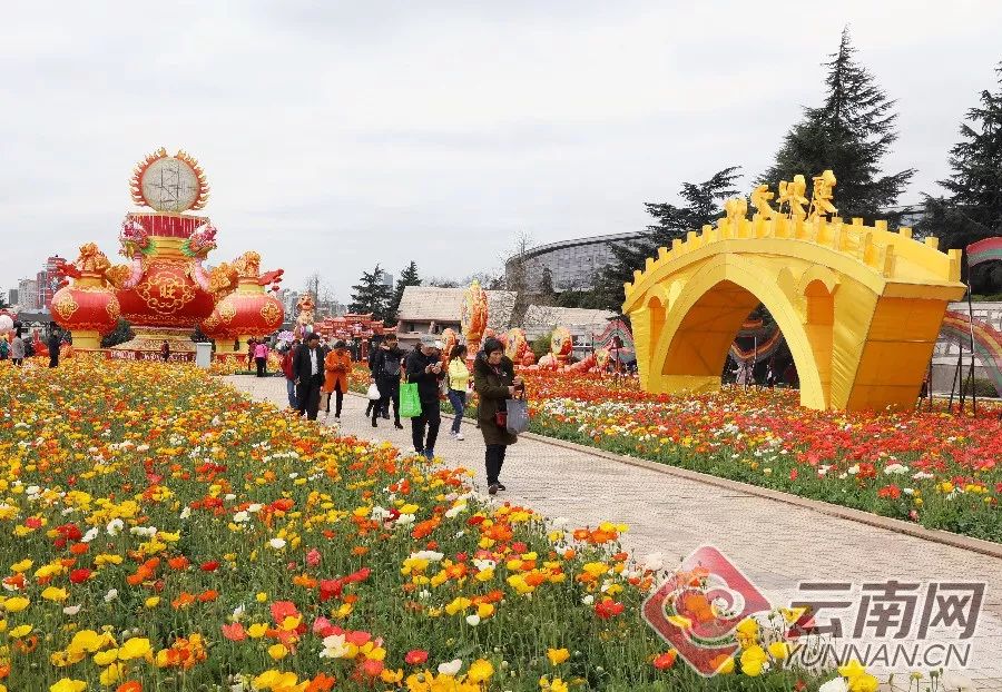 重庆人有福啦!清明五一游云南 这些景点门票免