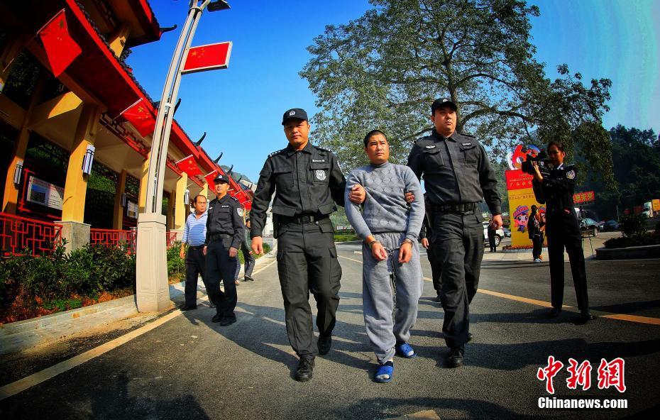 灵狐宝藏动漫在线观看，探索与欣赏的奇妙旅程