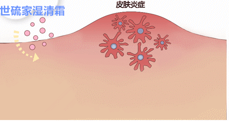 阆中按摩店私人付款六百多是否算正规？西安到神农架自驾路线推荐及阆中文化景点解析