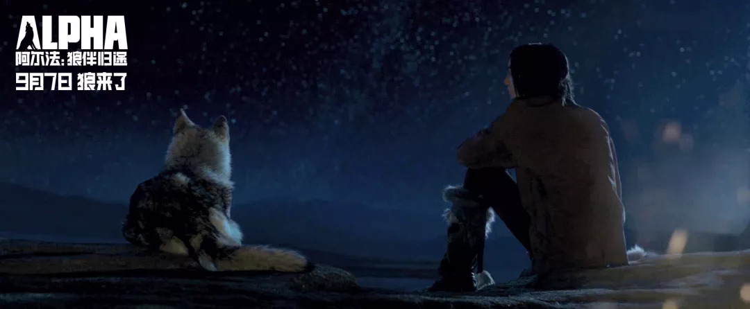 2万年前的人类,如何在摔下悬崖后自救?