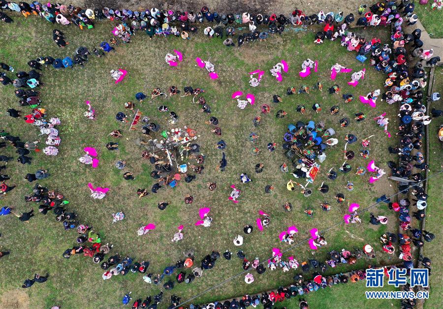 絕不缺席的熱血瞬間：球賽直播如何重定義我們的感官邊界與靈魂共振 