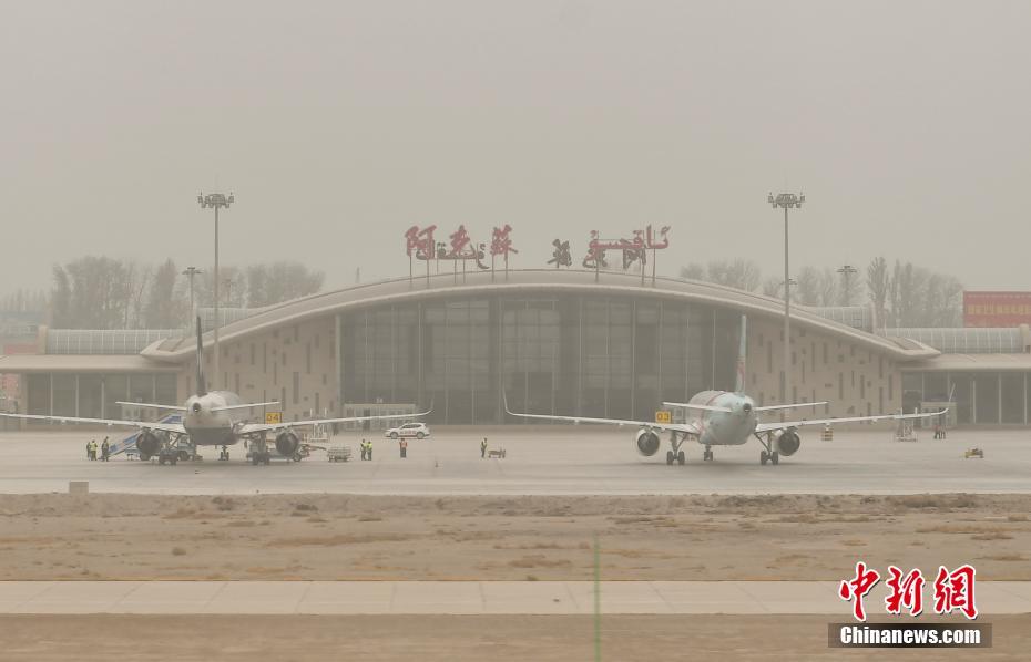 亚裔律师智斗黑帮，剧情与在线观看指南