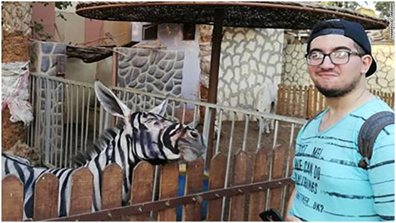 埃及动物园疑现假斑马 游客质疑园方给驴上色伪装