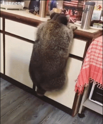 看射程和时间应该是憋了挺久 动图 我也想下去看看