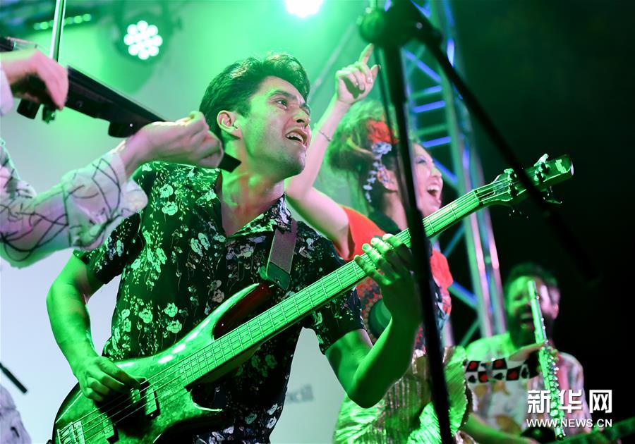 新西兰：惠灵顿花园音乐节