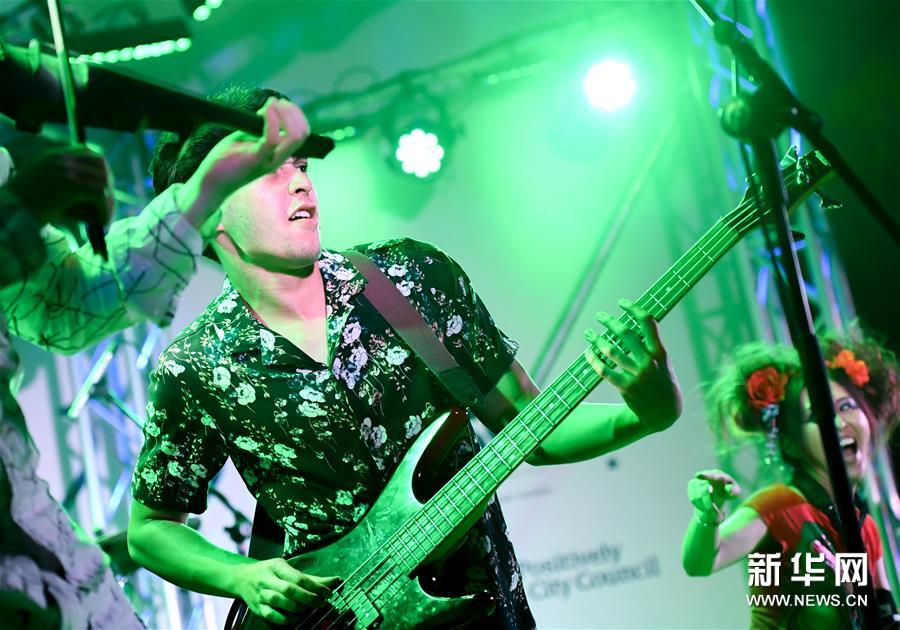 新西兰：惠灵顿花园音乐节