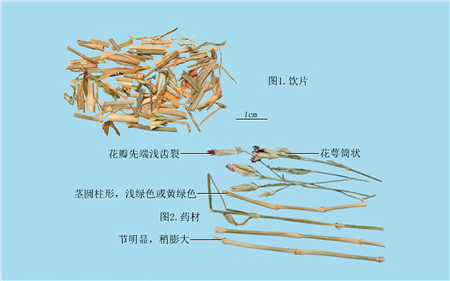 白马非马简谱_白马非马伴奏简谱(2)