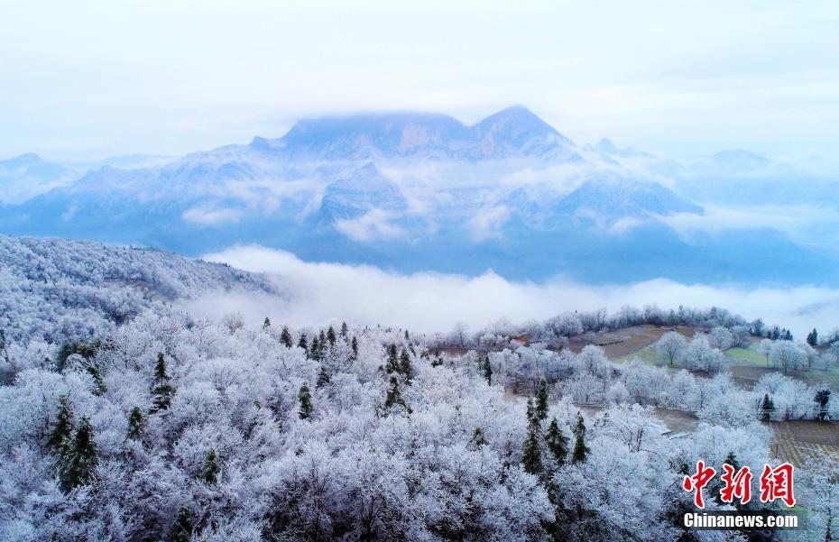 基米希：上半场两队都不想承当危险 我以为咱们配得上晋级