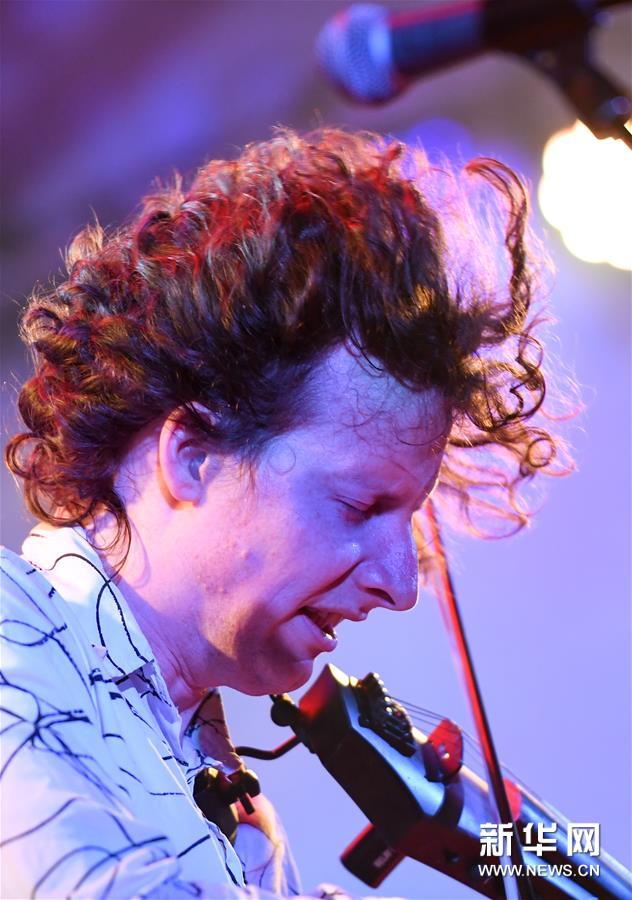 新西兰：惠灵顿花园音乐节