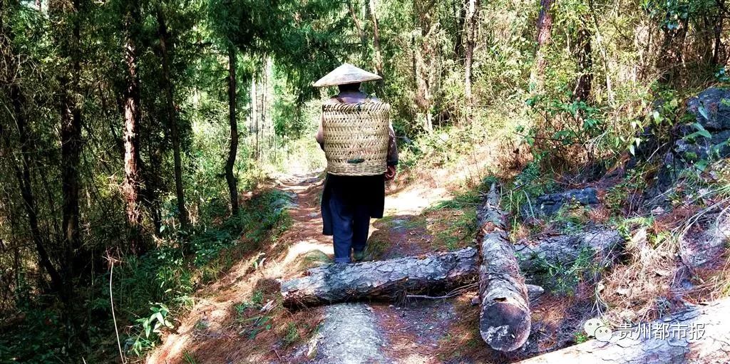 印江人口多少人口_贵州印江四大美女(2)