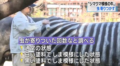 「金沙sand娱乐官方网站」1900年老照片:八国联军占领保定,监牢里人满为患