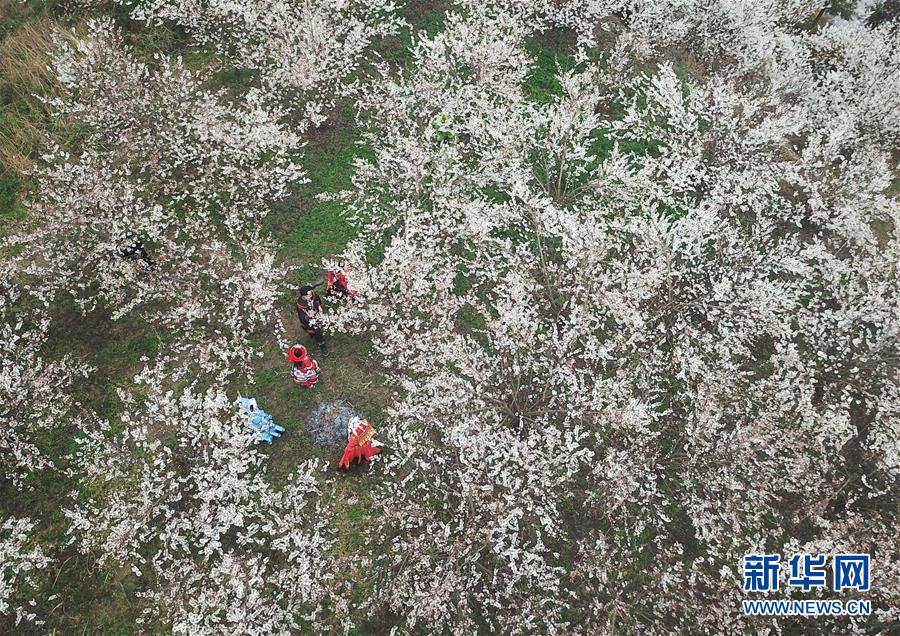 烟台新茶嫩茶wx _ 眼镜蛇女王