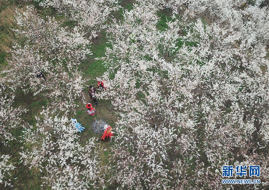 上海借卵子生子的过程国内哪些医院可以做冷冻卵子北医三院上海九院均入列