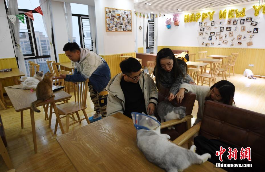 残疾人羽毛球世锦赛中国队赢得两金