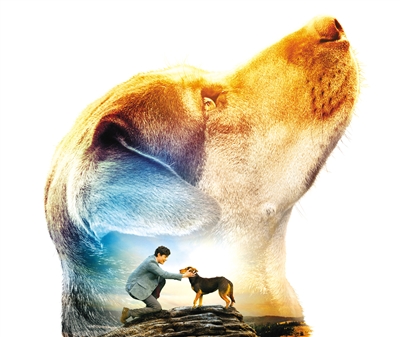 狗年最后一部“狗片”最有黑马相