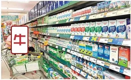 为何我们只喝牛的奶?骆驼奶偏咸绵羊奶让人腻