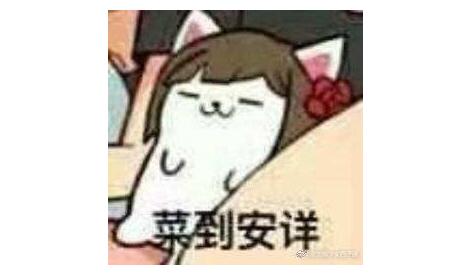 йϷһ򿪹ұȡɼѣˣ