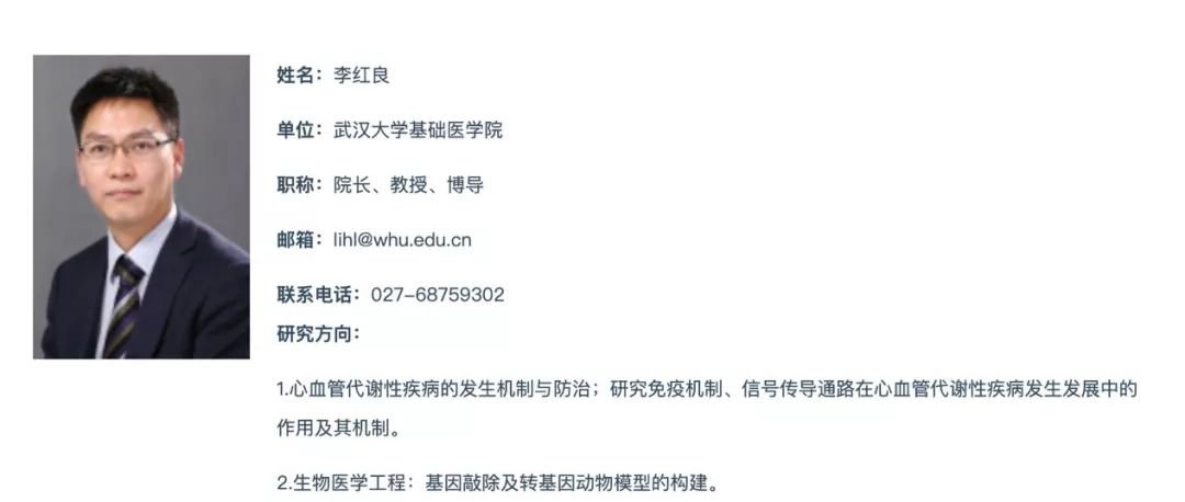 「易发备用」场爷撩车:全新广汽丰田雷凌双擎——不只是买菜车这么简单